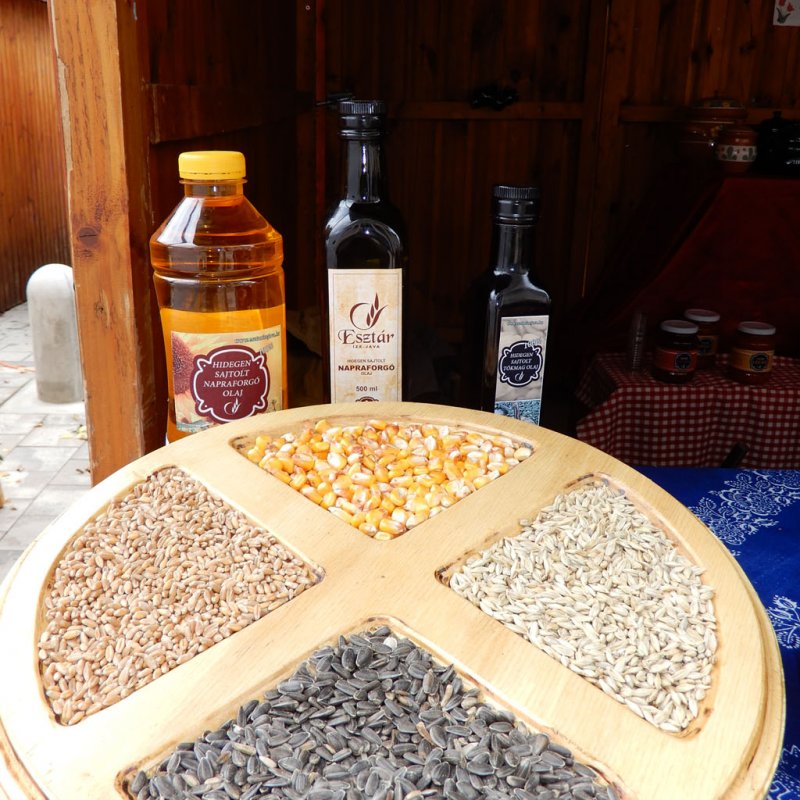 Helyi Értékek Startja 99